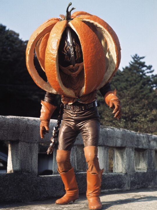 謎の果実怪人
