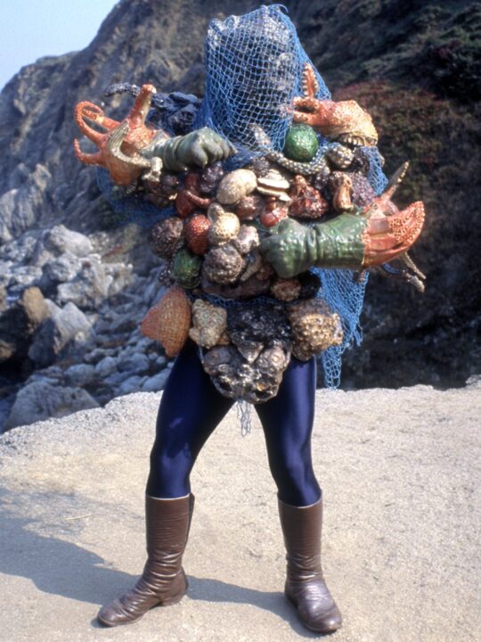 魚網怪人