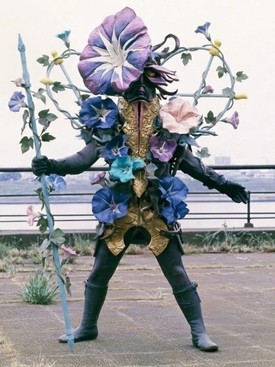 朝顔菩薩